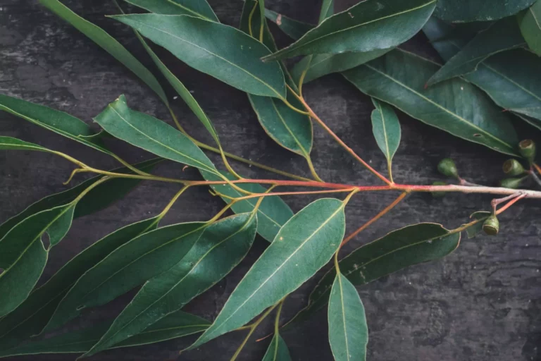 april-pethybridge-fYO0sHDF9Dw-unsplash-scaled
